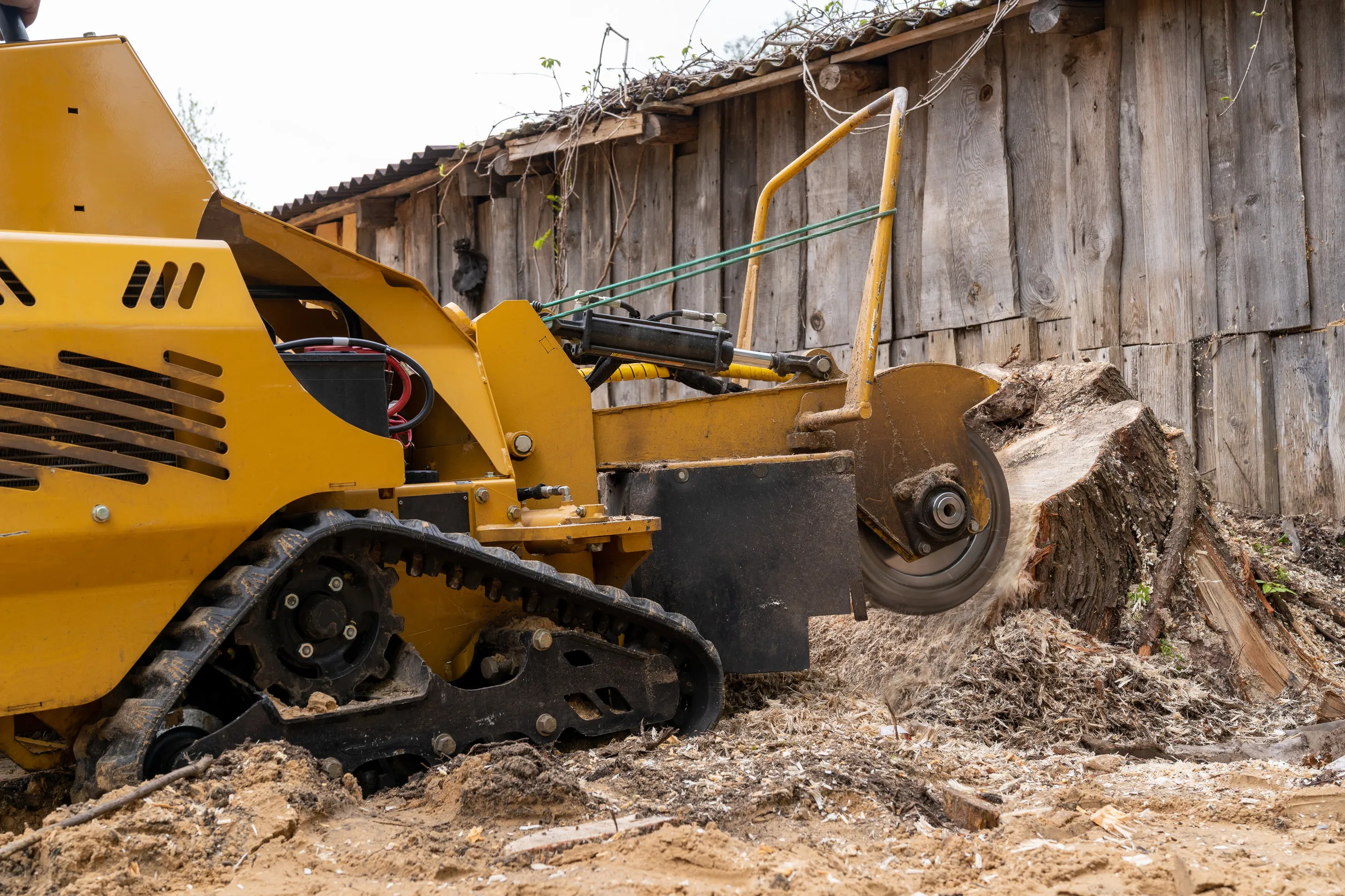 A large wooden stump is milled with a yellow stump cutter against the background of a plank wall