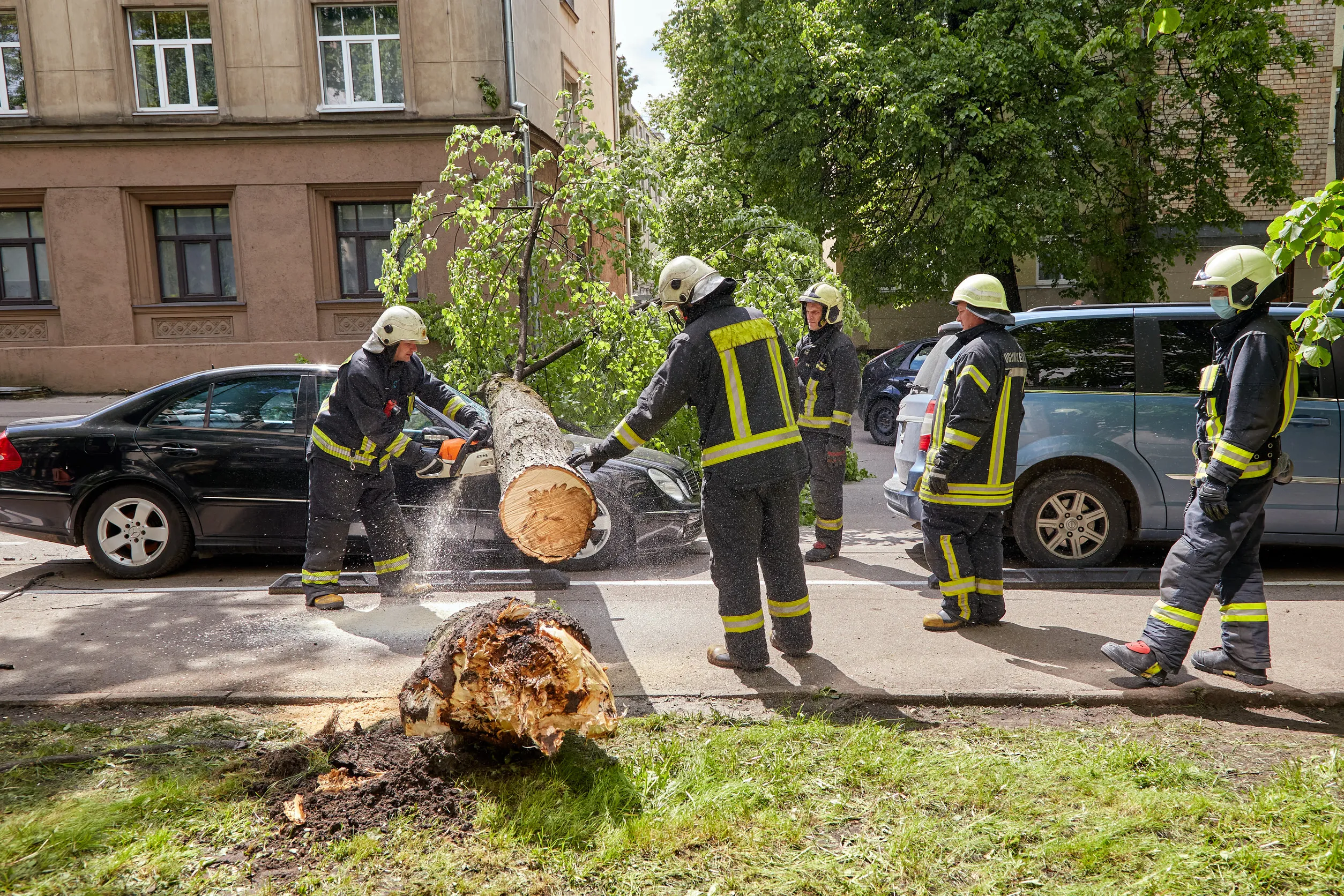 Firefighters clear a fallen tree from the road, using a chainsaw_Nearby, damaged vehicles and greenery are visible